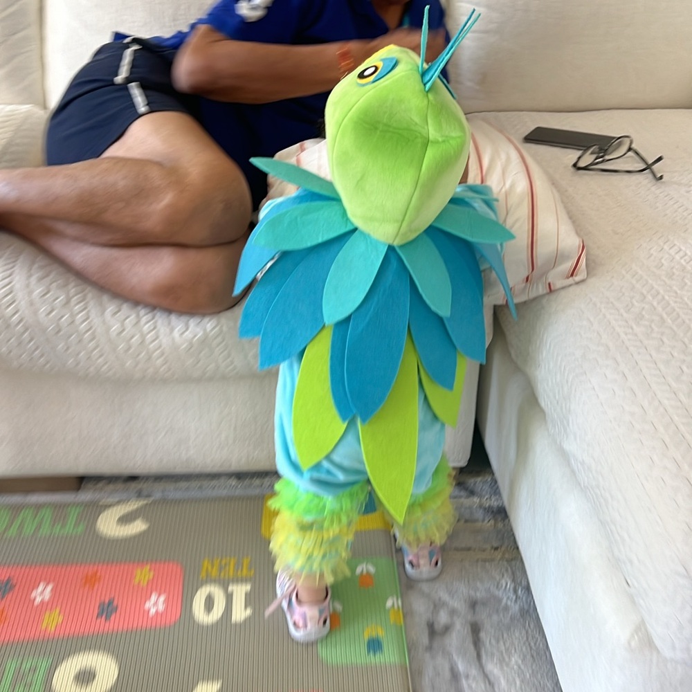 Pottery Barn Parrot Costume 12-2T approximately.